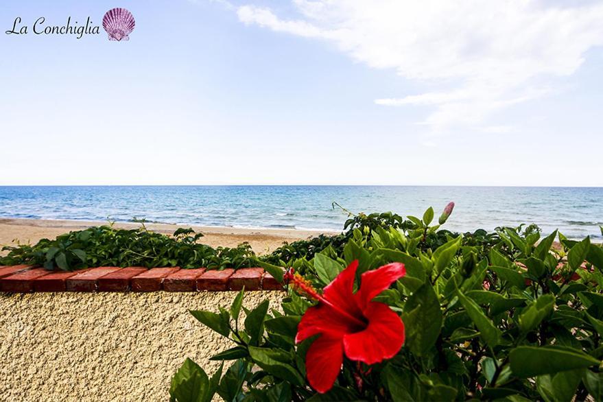 Casa La Conchiglia Sulla Spiaggia Lido di Noto Exteriér fotografie